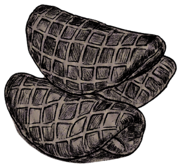 An illustration of two Ghunzakhi, the lattice-topped Swati bread